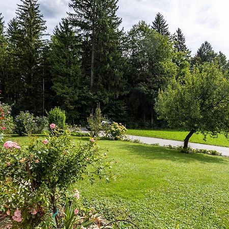 Ferienwohnung Im Haus Stoeckl Angerberg  Eksteriør billede